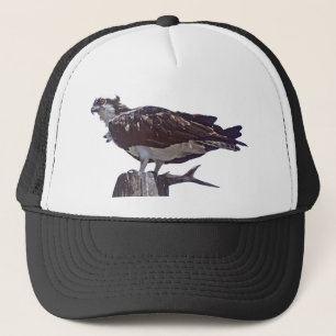Boné Pássaro do Osprey