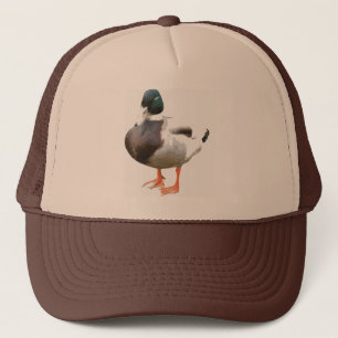 Boné Pato