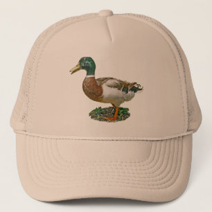 Boné Pato do pato selvagem