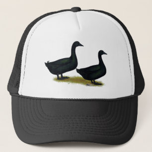 Boné Patos: Black Cayugas