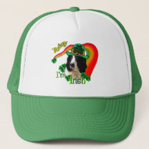 Pattys de Rua Inglês Springer Spaniel