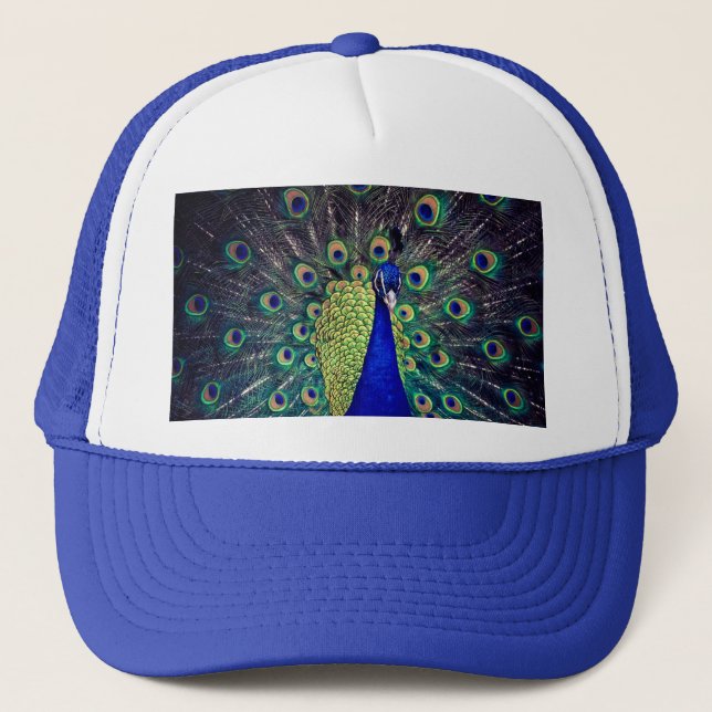 Boné Pavão Azul Cobalto (Frente)