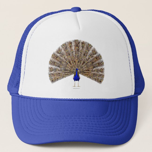 Boné Peacock Blue Hat (Frente)