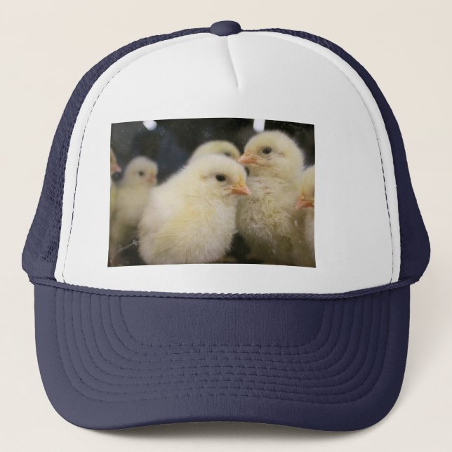 Boné Peeps (Frente)