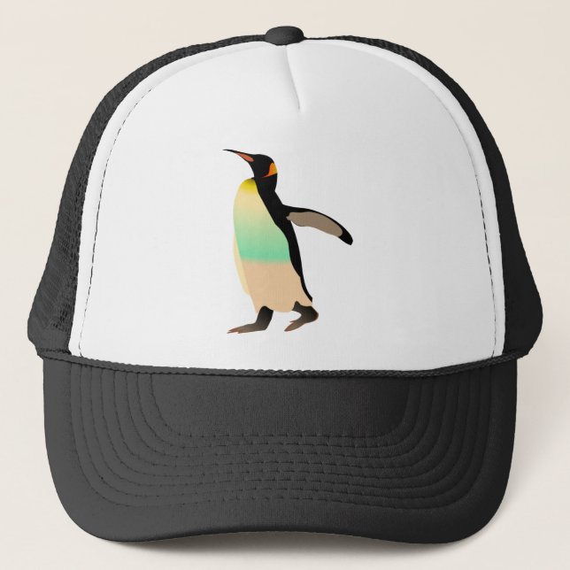 Boné Peguin Colorido (Frente)