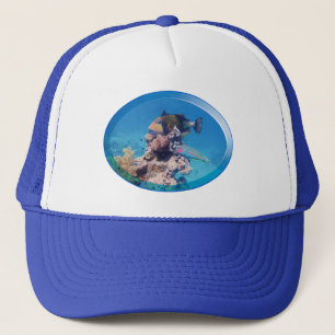 Boné Peixe-gato-do-mato-coral - Design fotográfica  