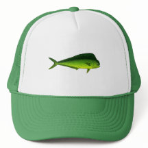 Peixes de golfinhos - Dorado - Mahi Mahi