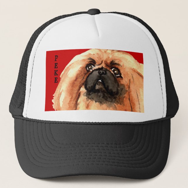 Boné Pekingese Color Block (Frente)