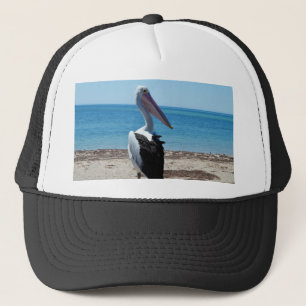 Boné Pelicano na Rocha da Praia,