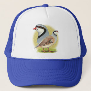 Boné Perdiz de Chukar combinado