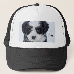 Boné Perfeito para Amantes de Cachorro Preto e Branco-C