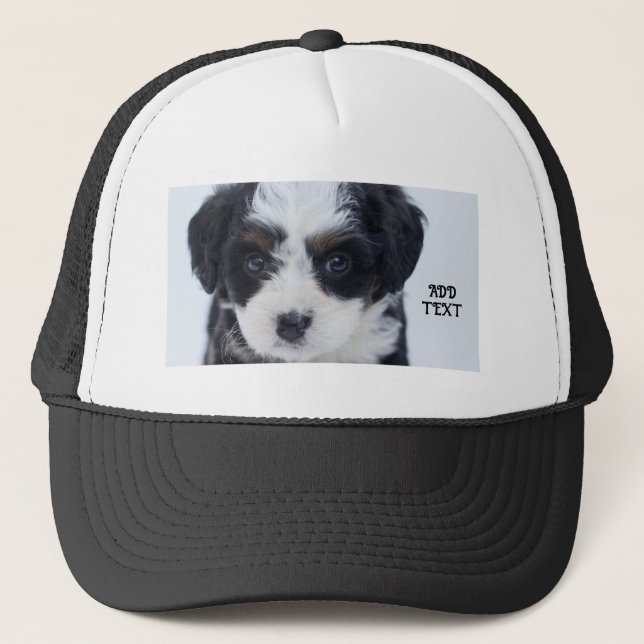 Boné Perfeito para Amantes de Cachorro Preto e Branco-C (Frente)