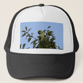 Boné Periquito-verde