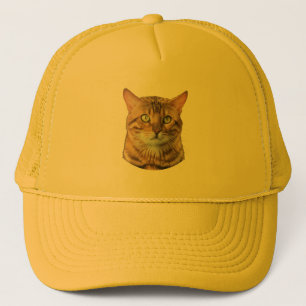 Boné personalidade de gato-presente