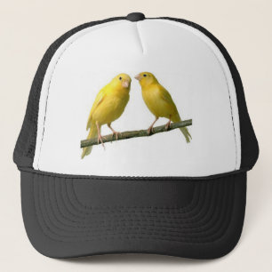 Boné Pet Canary Bird Merchandise