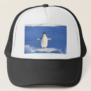 Boné Pinguim