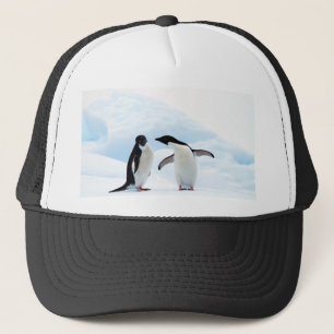 Boné Pinguins Adelie