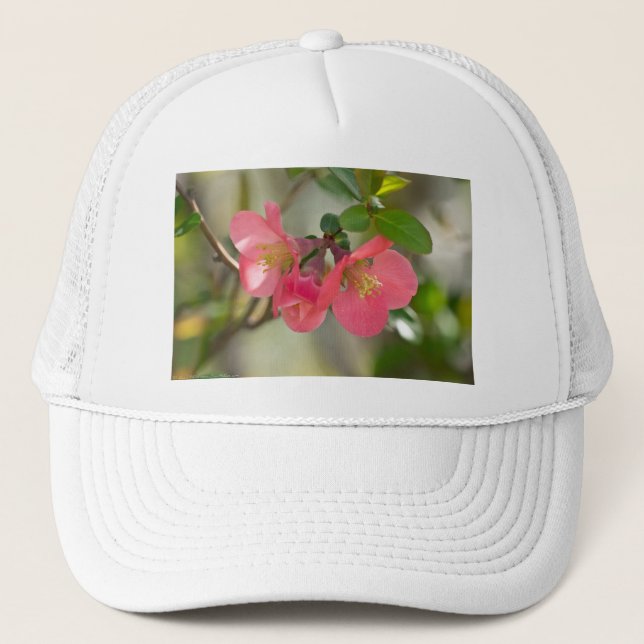 Boné Pink Flowering Quince Glow (Frente)