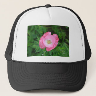 Boné Pink Poppy