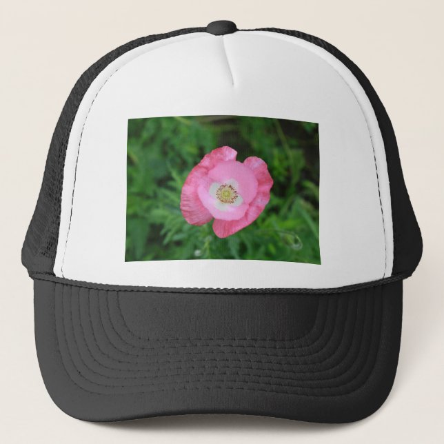 Boné Pink Poppy (Frente)