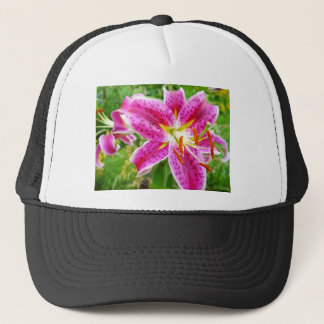 Boné Pink Stargazer Lilly