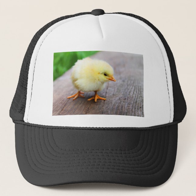 Boné Pintinho páscoa (Frente)