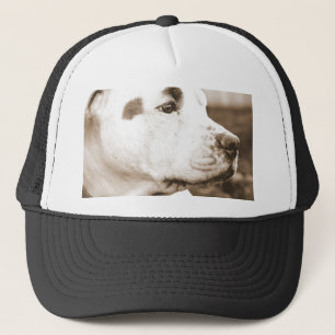 Boné pitbull da sépia do cão, um ato de ódio não pr