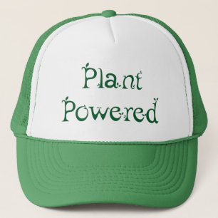 Boné Planta Alimentada