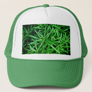 Boné Planta verde
