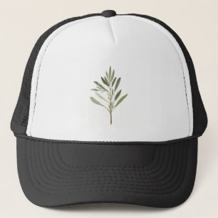 Boné Plantas de ervas forrageiras de cozinha hortas de