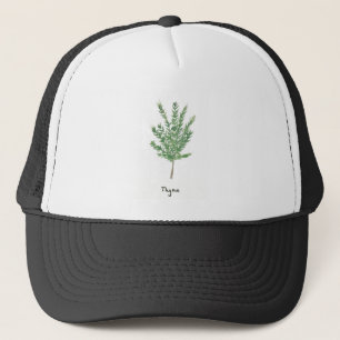 Boné Plantas de tomilho herbáceas botânicas verdes