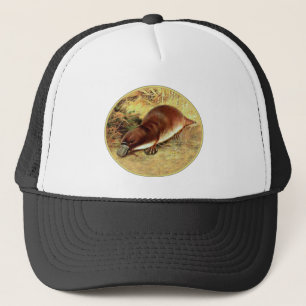 Boné Platypus