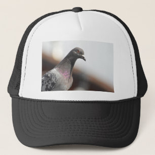 Boné Pombo de competência