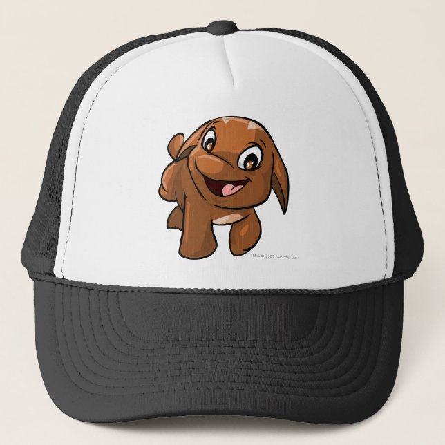 Boné Poogle Brown (Frente)