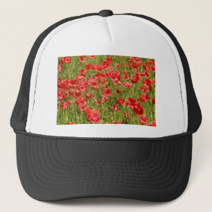 Boné Poppy field - Stunning!