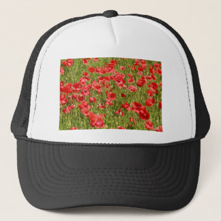 Boné Poppy field - Stunning!