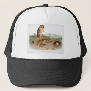 Boné Prairie Dog ou Prairie Marmot Camping