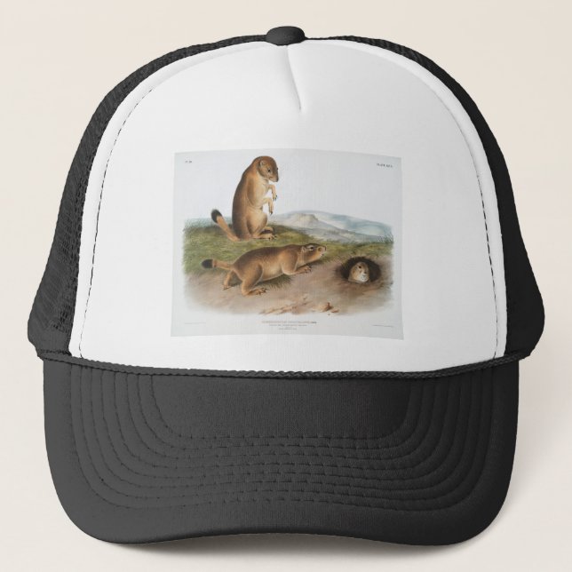 Boné Prairie Dog ou Prairie Marmot Camping (Frente)