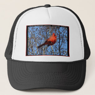 Boné Presentes Cardinais de Promenade de Montanha Quent