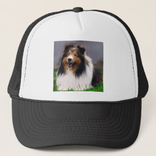 Boné Presentes da arte de Sheltie do Sheepdog de