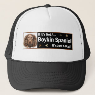 Boné Presentes de Boykin Spaniel