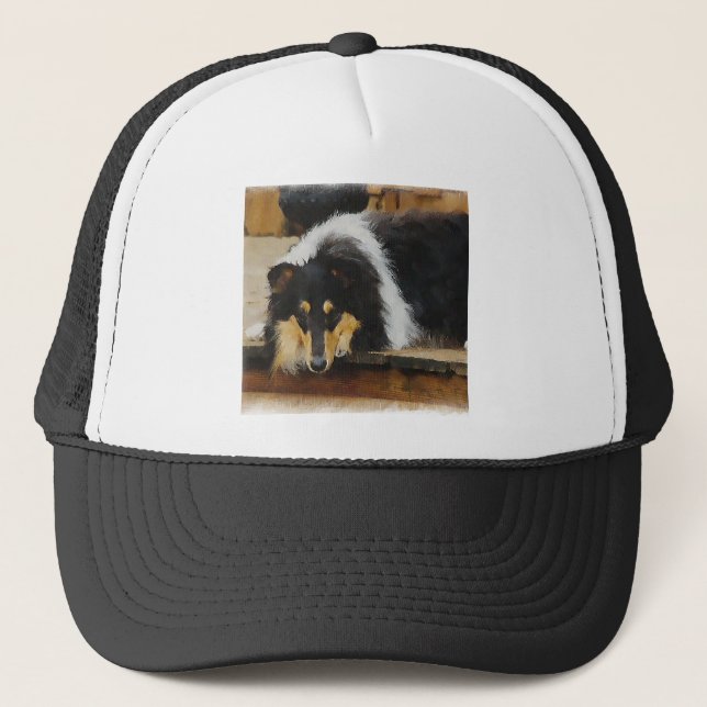 Boné Presentes De Collie Rough De Três Cores (Frente)