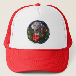Boné Presentes de Natal do Weimaraner