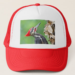 Boné Presentes de Roupas com Perfil de Pica-Pau-Grande