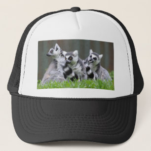 Boné Presentes e Camisetas de Lemur