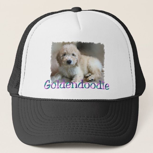 Boné Presentes para Amantes de Goldendoodle (Frente)