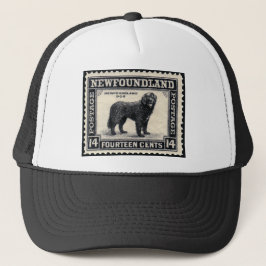 Boné Presentes para Cão da Terra Nova
