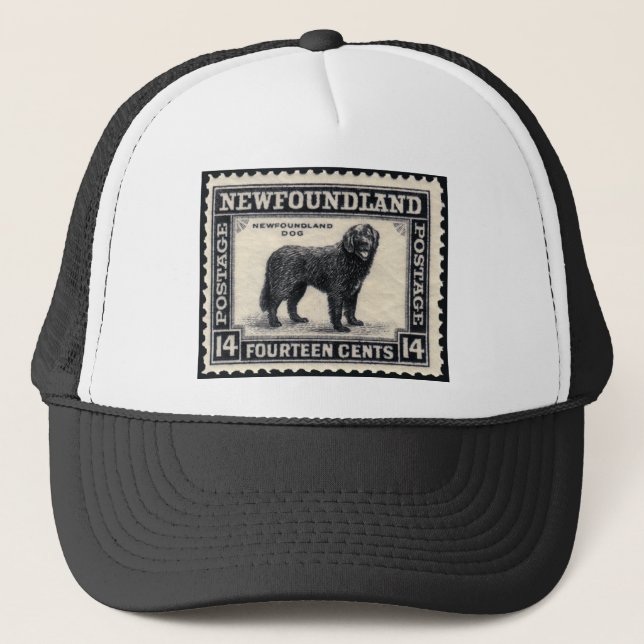Boné Presentes para Cão da Terra Nova (Frente)