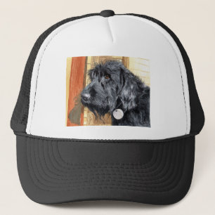Boné preto de Labradoodle #1