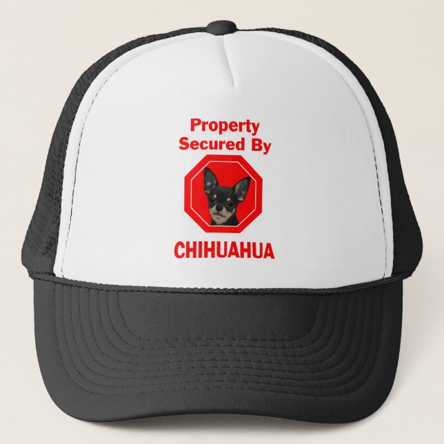 Boné Propriedade fixada pela chihuahua (Frente)